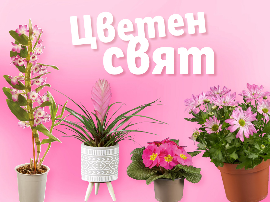 Цветен свят