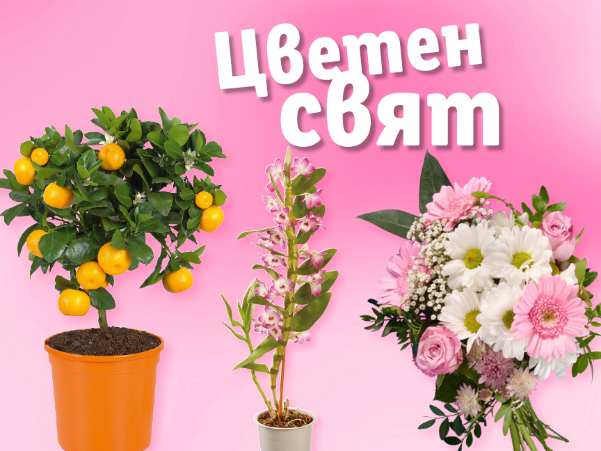 Цветен свят